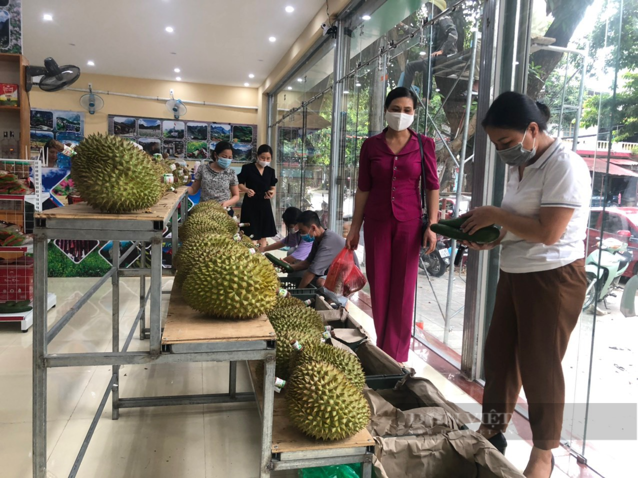 Sầu riêng, bơ...của tỉnh Đắk Lắk vượt hơn 1.500km ra Hà Giang, tiêu thụ hết veo 3 tấn chỉ trong 1 ngày - Ảnh 1.