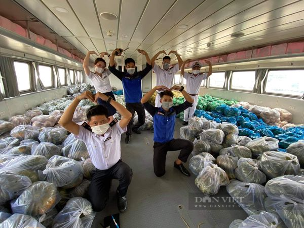 TP.HCM: Tiếp nhận 25 tấn rau củ quả từ 2 công ty Pacific Foods gửi tặng người dân - Ảnh 5.