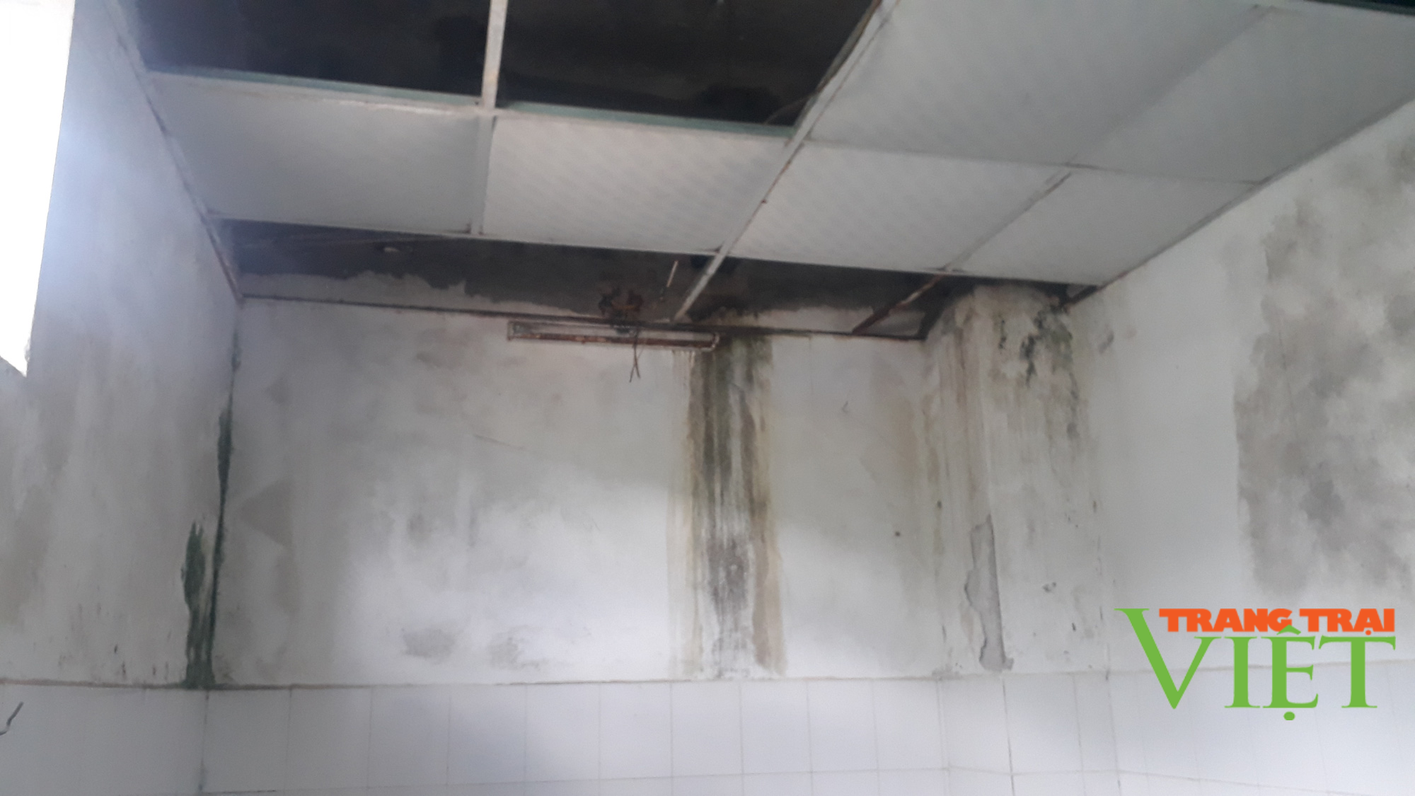 Lai Châu: Nhiều hạng mục của trụ sở Bệnh viện Phổi xuống cấp nhưng không thể sửa chữa, vì sao? - Ảnh 4. Lai Châu: Nhiều hạng mục của trụ sở Bệnh viện Phổi xuống cấp nhưng không thể sửa chữa, vì sao? - Ảnh 4.