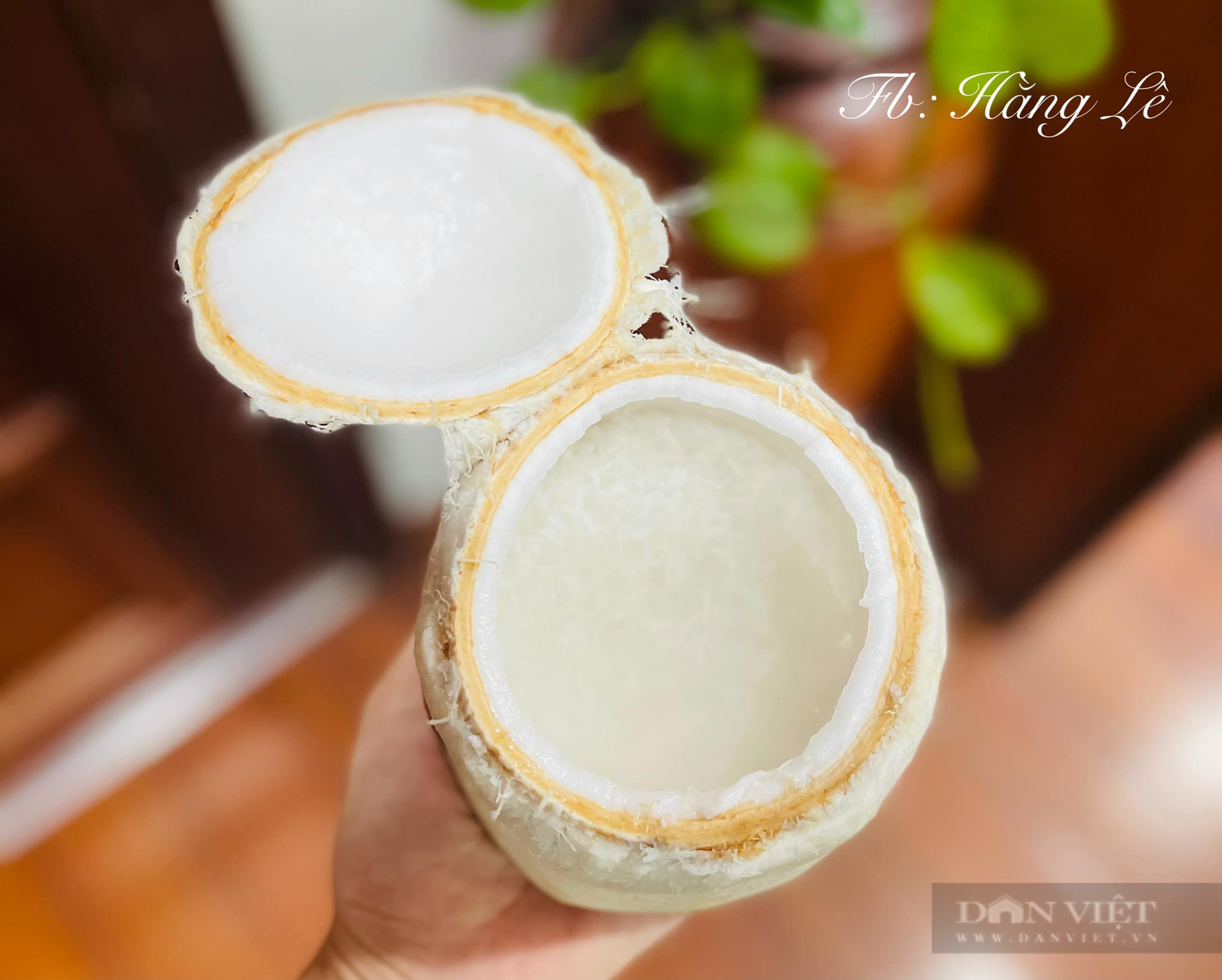 Bí quyết làm món cơm hấp trái dừa thơm ngon - Ảnh 2.