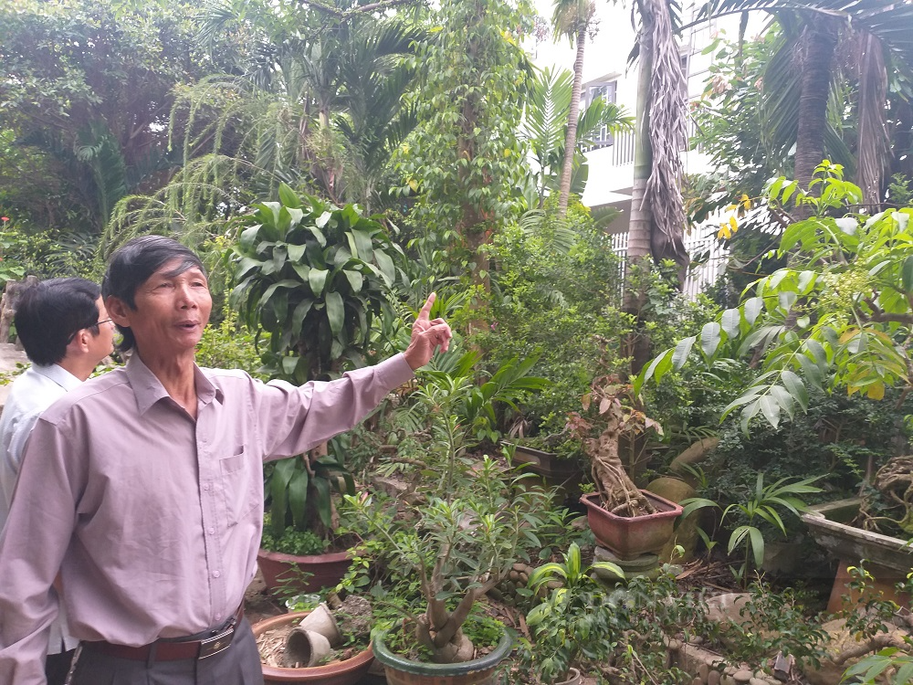 TAND Cấp cao tại Đà Nẵng mở lại phiên tòa &quot;Đền bù 1m2 đất vàng bằng ký cá nục&quot; - Ảnh 2.