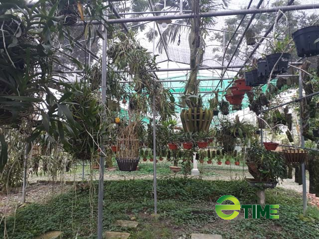 Xây dựng trung tâm bảo tồn và phát triển lan hơn 20.000m2 tại Thái Nguyên - Ảnh 1. Xây dựng trung tâm bảo tồn và phát triển lan hơn 20.000m2 tại Thái Nguyên - Ảnh 1.