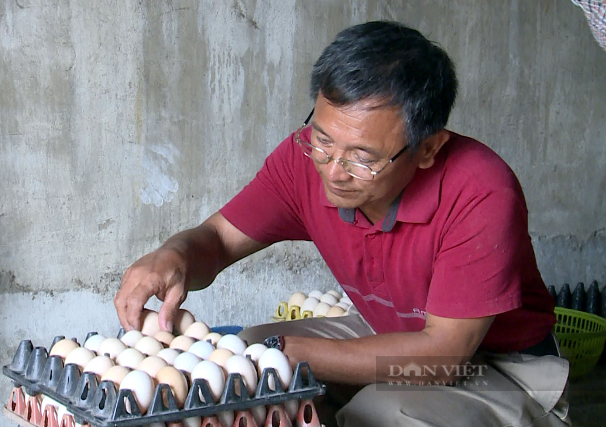 Giá trứng tăng, nhiều hộ nuôi thở phào - Ảnh 1.