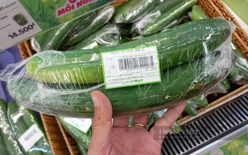 Dưa leo Nhật Bản bán tại siêu thị Lotte Mart Bình Dương với giá 39.00 đồng/kg. Ảnh chụp ngày 12/8. Ảnh: Nguyên Vỹ