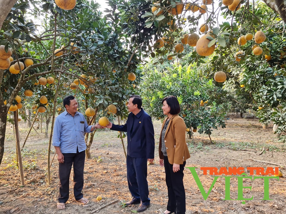 Phát huy vai trò của Hội Nông dân Điện Biên trong xây dựng nông thôn mới - Ảnh 3. Phát huy vai trò của Hội Nông dân Điện Biên trong xây dựng nông thôn mới - Ảnh 3.