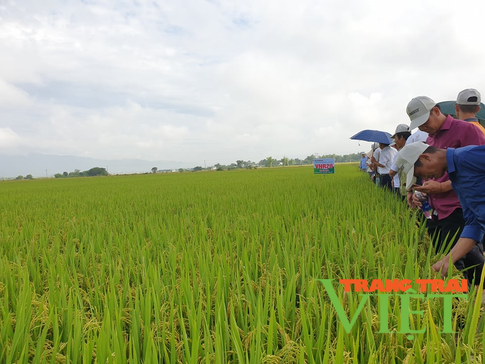 Phát huy vai trò của Hội Nông dân Điện Biên trong xây dựng nông thôn mới - Ảnh 4. Phát huy vai trò của Hội Nông dân Điện Biên trong xây dựng nông thôn mới - Ảnh 4.