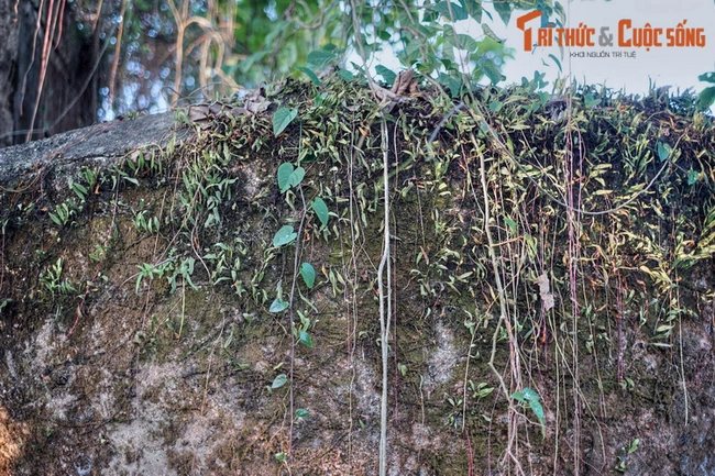 Lô cốt bỏ hoang kỳ bí giữa đường phố Huế ẩn chứa bí mật gì? - Ảnh 9.