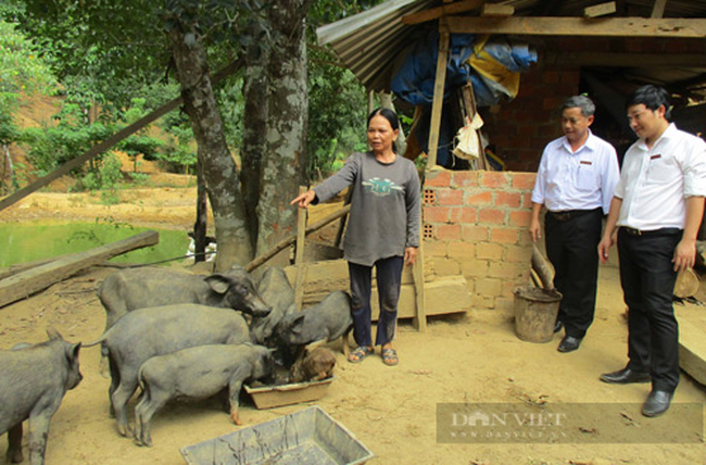 Quảng Nam: Agribank &quot;bơm&quot; hơn 10 nghìn tỷ đồng vào lĩnh vực tam nông giúp cho hàng nghìn khách hàng vươn lên - Ảnh 6.