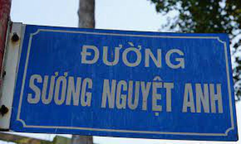 Chuyện đời Sương Nguyệt Anh - nữ chủ bút đầu tiên nước Việt - Ảnh 3.