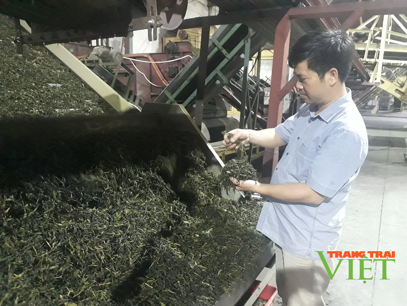 Lai Châu: Hơn 4600 vị trí việc làm dành cho người lao động bị ảnh hưởng bởi dịch Covid-19 - Ảnh 1. Lai Châu: Hơn 4600 vị trí việc làm dành cho người lao động bị ảnh hưởng bởi dịch Covid-19 - Ảnh 1.