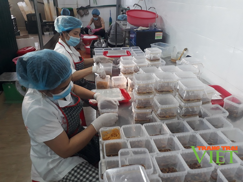 Lai Châu: Hơn 4600 vị trí việc làm dành cho người lao động bị ảnh hưởng bởi dịch Covid-19 - Ảnh 2. Lai Châu: Hơn 4600 vị trí việc làm dành cho người lao động bị ảnh hưởng bởi dịch Covid-19 - Ảnh 2.