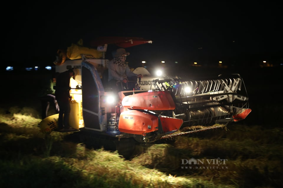 Đà Nẵng: Dân gặt lúa xuyên đêm, công an trợ giúp giữa trưa nắng đổ lửa - Ảnh 7.