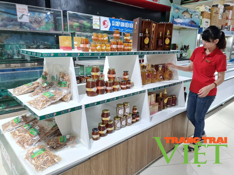 Điện Biên: Nỗ lực cải thiện môi trường đầu tư kinh doanh - Ảnh 1. Điện Biên: Nỗ lực cải thiện môi trường đầu tư kinh doanh - Ảnh 1.