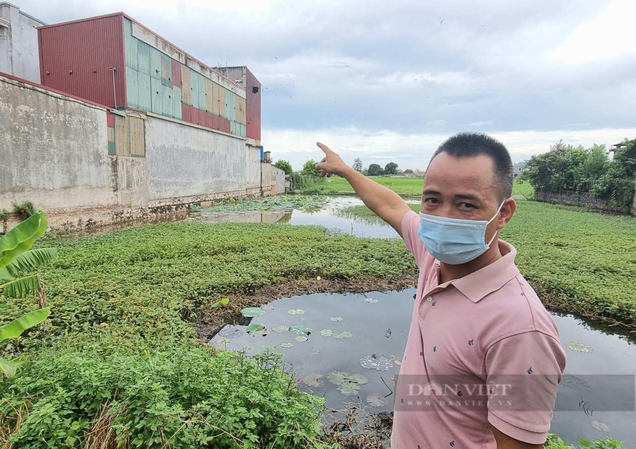 Ninh Bình: Xây nhà dụ chim yến về làm tổ để nhả ra thứ “vàng trắng” bán hơn 3 triệu/100g - Ảnh 2.