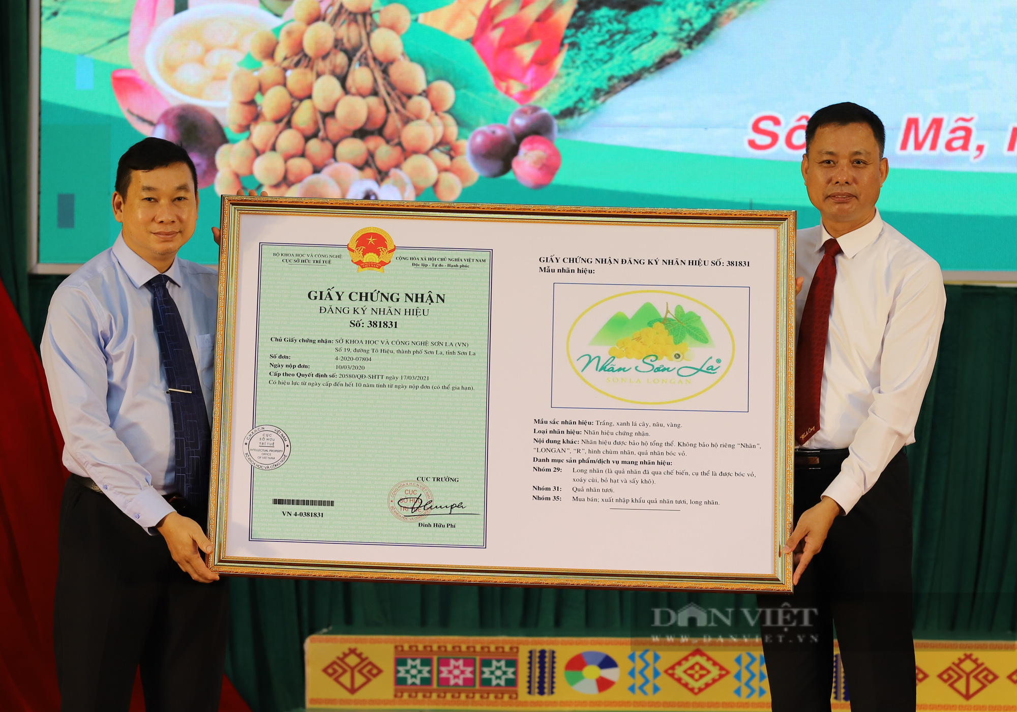 Nhãn Sơn La vươn ra thế giới  - Ảnh 3.