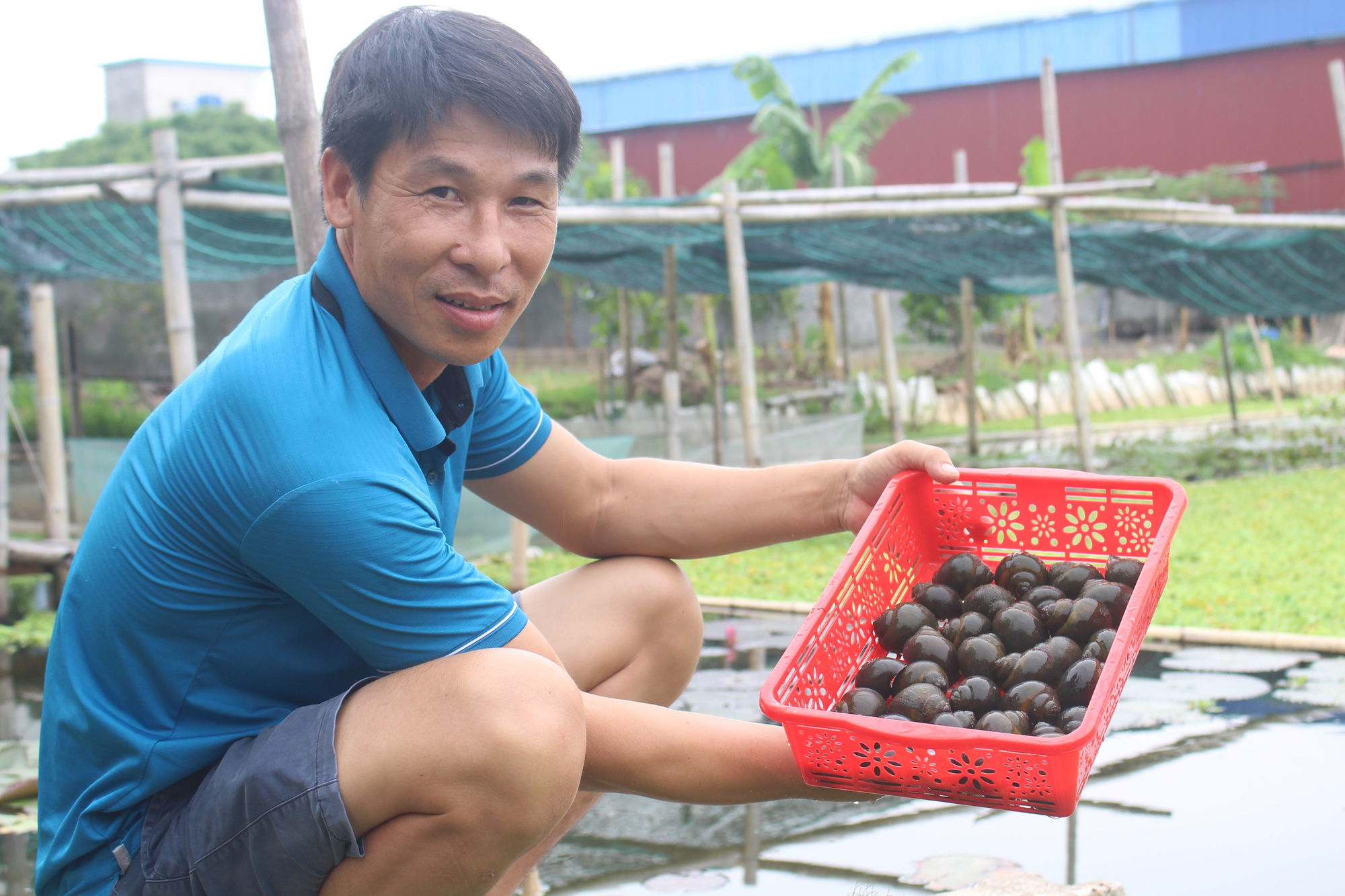 Nam Định: Nuôi con &quot;siêu đẻ” bò quanh quẩn trong ao bèo, anh nông dân 8X thu nhập hàng trăm triệu mỗi năm - Ảnh 1.