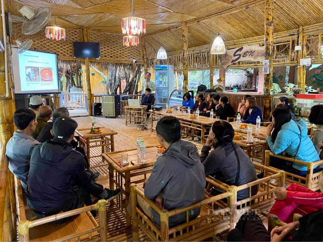 Ninh Bình: Vụ lúa đông xuân trúng lớn nhờ hệ thống thâm canh lúa cải tiến - Ảnh 4.