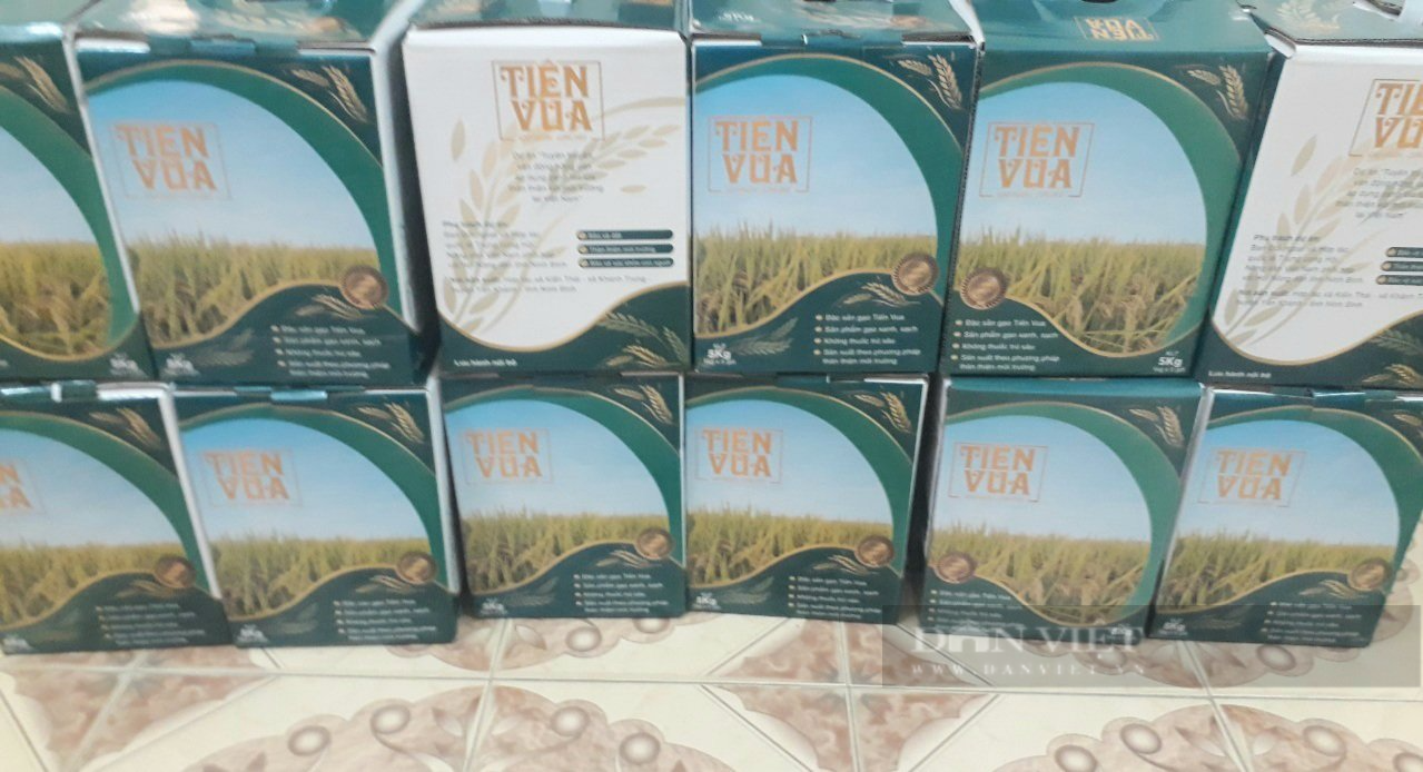Ninh Bình: Vụ lúa đông xuân trúng lớn nhờ hệ thống thâm canh lúa cải tiến - Ảnh 6.