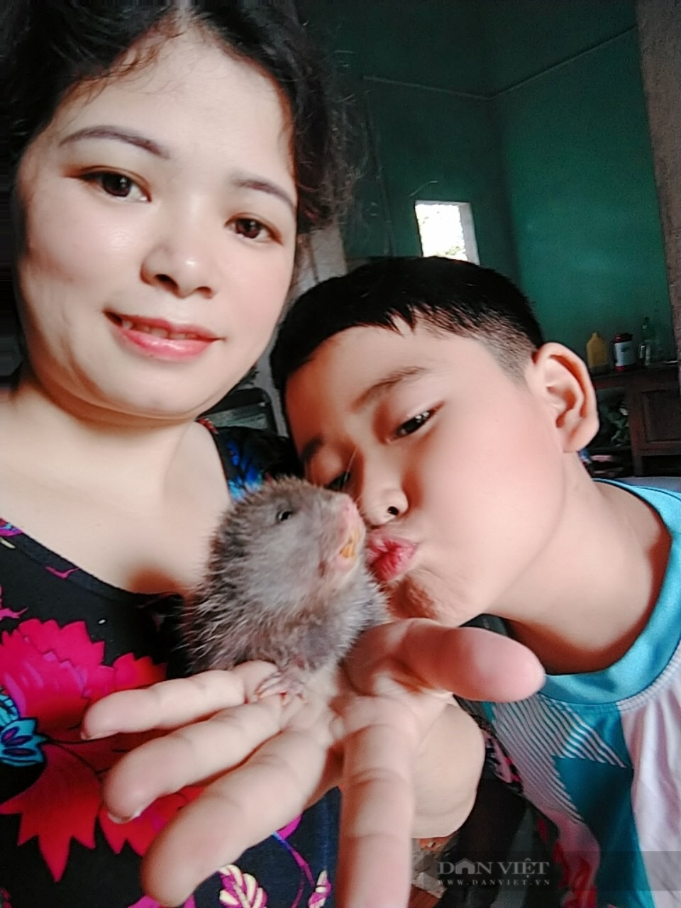 Đào con này trên rừng về nuôi, nhiều hộ dân ở TT-Huế bất ngờ đổi đời vì thu lãi cao  - Ảnh 3.