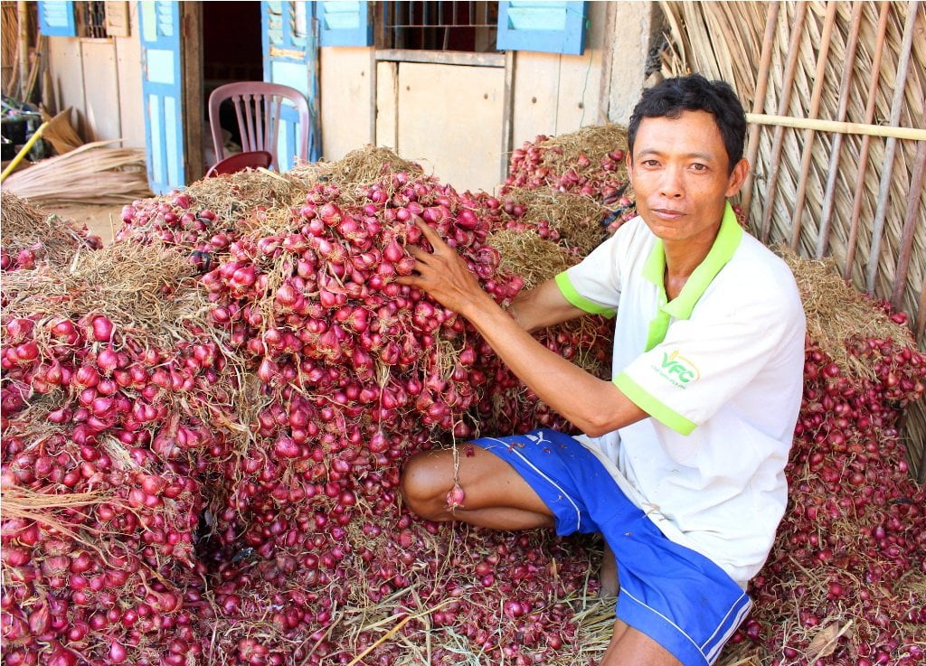 Kéo dài “cánh tay” kết nối, tiêu thụ nông sản: “Cứu” chuỗi cung ứng bị đứt gãy - Ảnh 1.