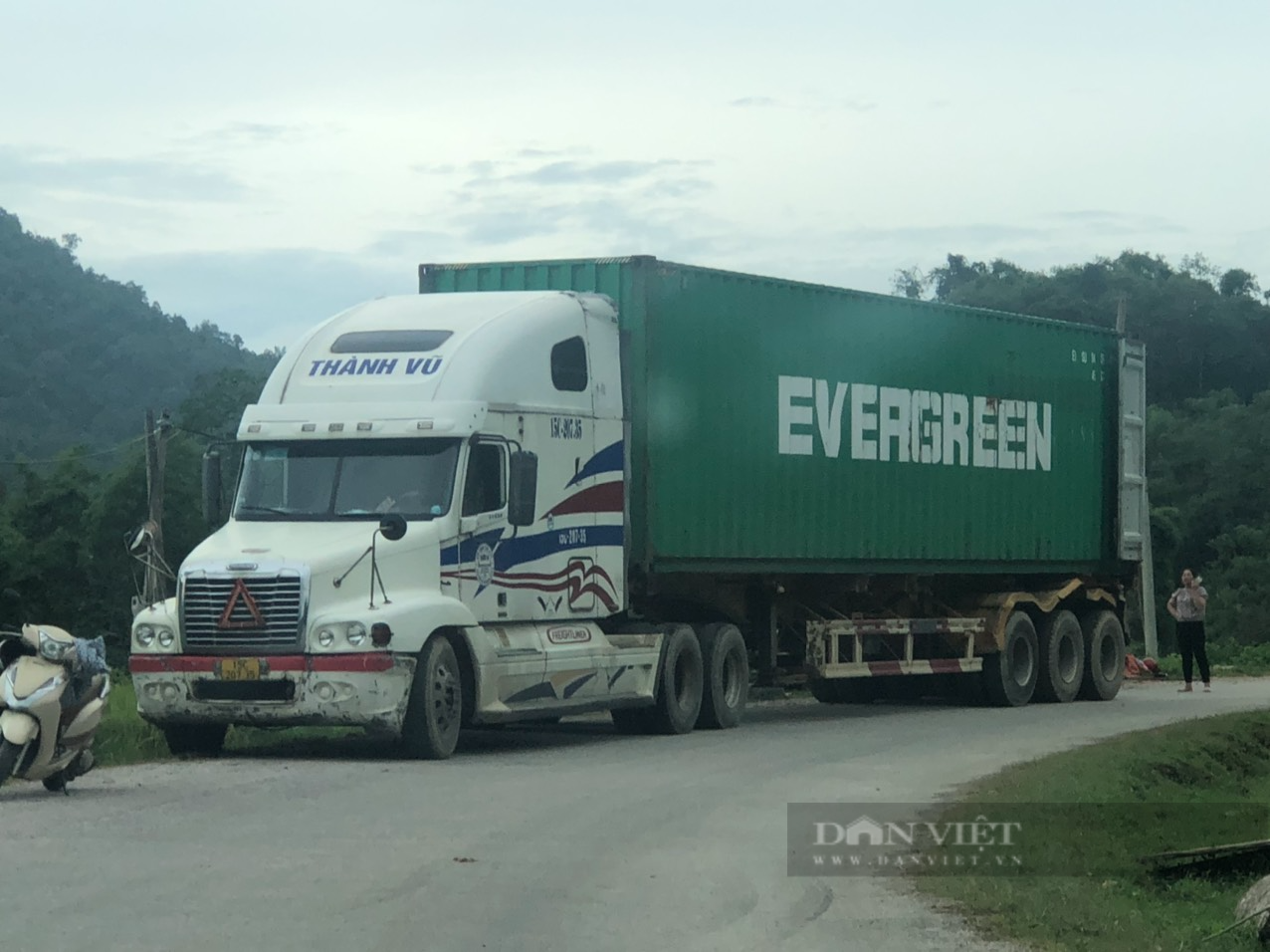 Bài 2 đường đi của gỗ rừng. - Ảnh 3.