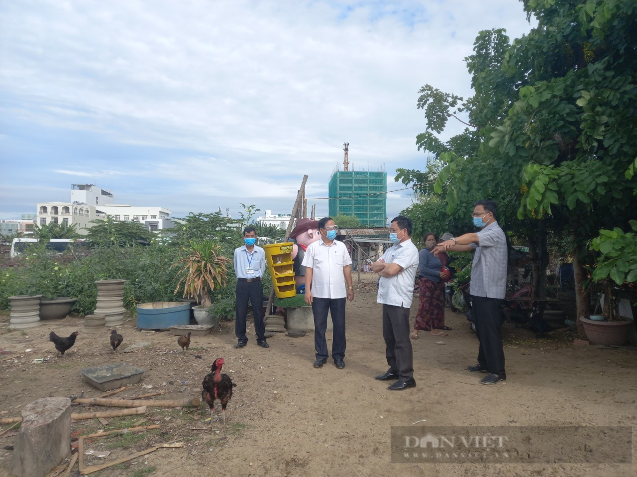 Hội Nông dân TP.Đà Nẵng tháo gỡ khó khăn về vật tư cho nông dân sản xuất  - Ảnh 3.