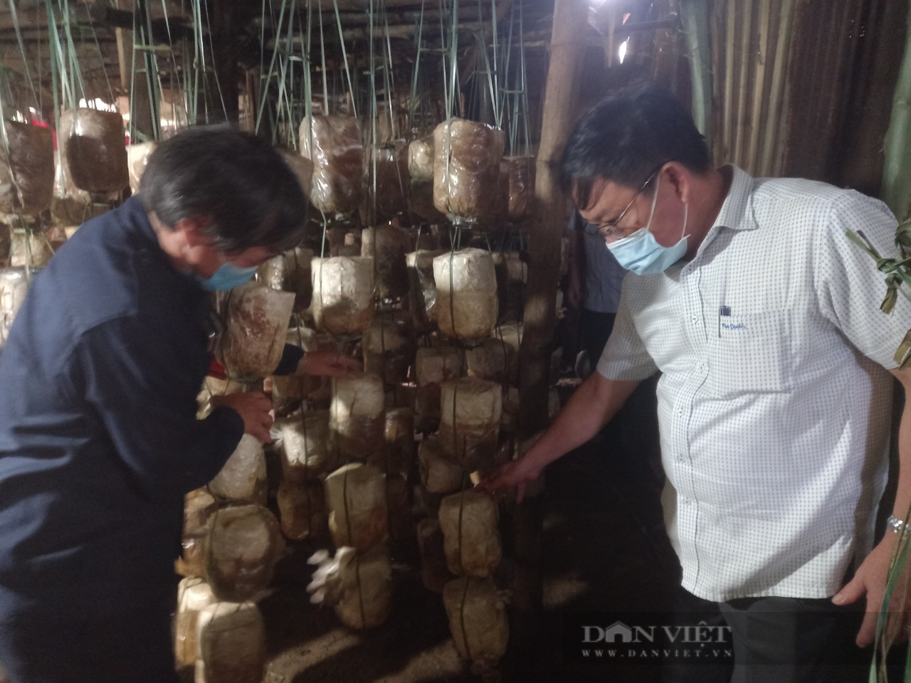 Hội Nông dân TP.Đà Nẵng tháo gỡ khó khăn về vật tư cho nông dân sản xuất  - Ảnh 5.