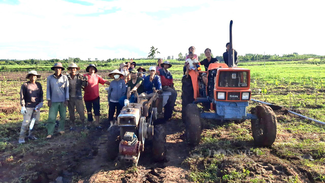 Từ dự án đầu tiên ở Gia Lai, công ty Trọng Đức dự kiến tiếp tục mở rộng vùng nguyên liệu ca cao ra nhiều tỉnh thành khác. Ảnh: Nguyên Vỹ