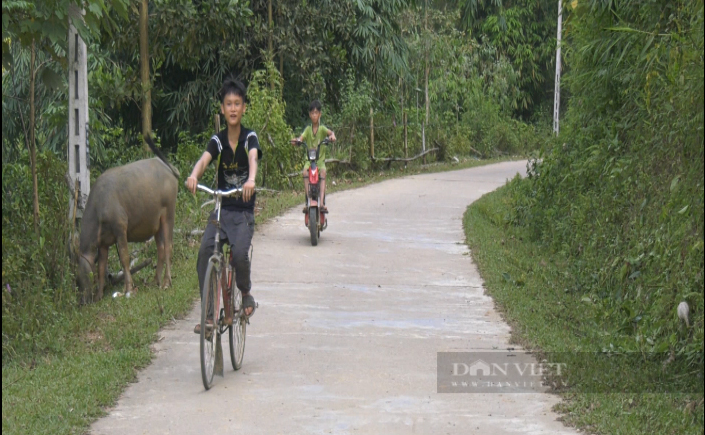 Yên Bái: Vì sao nông dân nơi đây lại bỏ tiền túi đóng góp làm đường giao thông nông thôn - Ảnh 2.