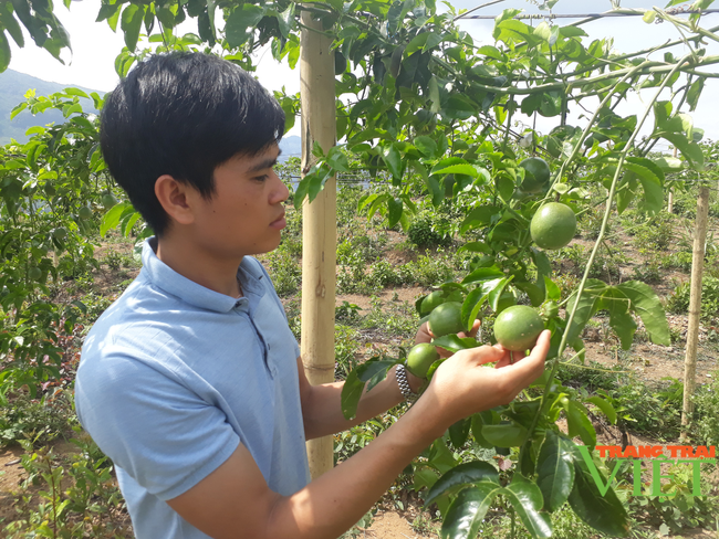 Lai Châu: Nông dân vùng khó chung tay xây dựng nông thôn mới - Ảnh 3.