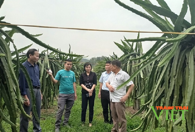 Hội Nông dân tỉnh Hoà Bình: Được trao “thanh bảo kiếm” tăng cường, xây dựng tổ chức Hội vững mạnh - Ảnh 3.