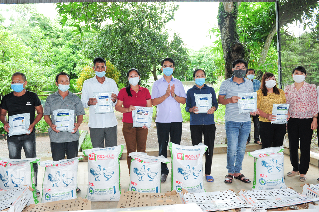 Ninh Bình: Hỗ trợ gà giống, thức ăn chăn nuôi giúp hội viên nông dân làm giàu - Ảnh 1.