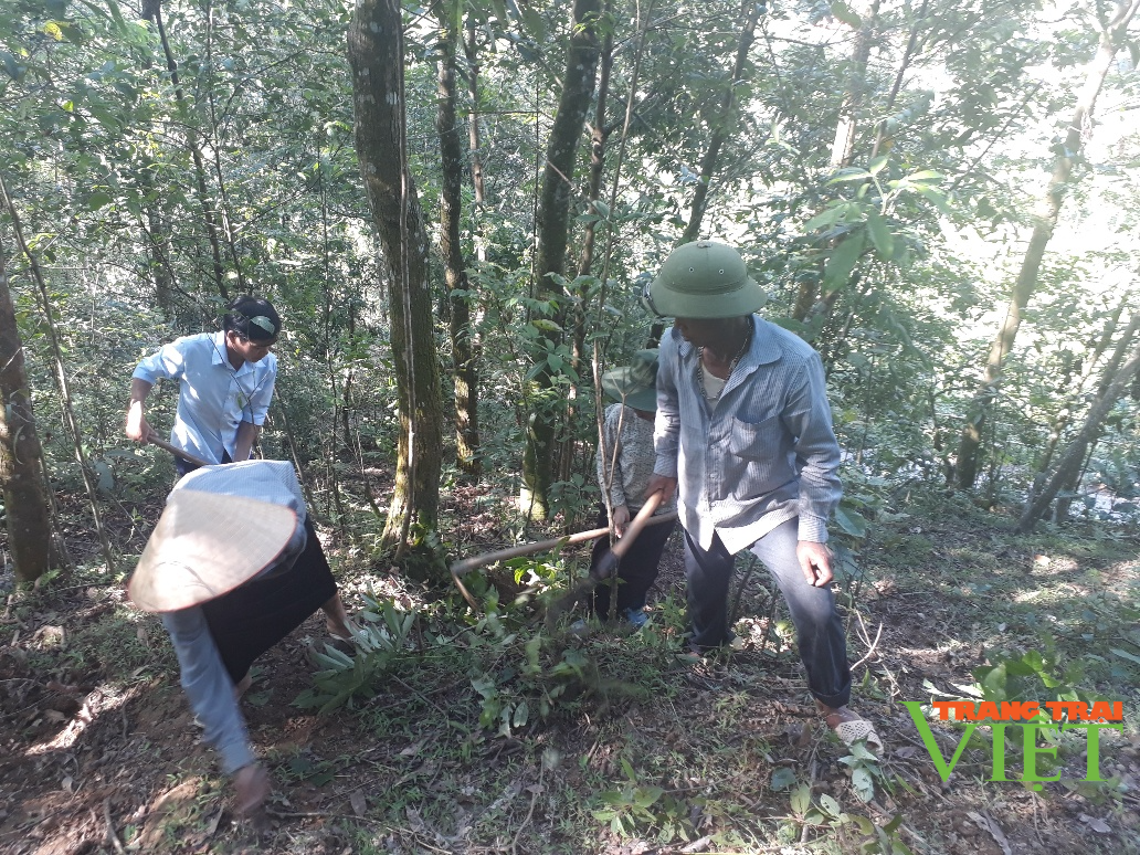 Tân Uyên tăng cường công tác quản lý, bảo vệ rừng - Ảnh 2. Tân Uyên tăng cường công tác quản lý, bảo vệ rừng - Ảnh 2.