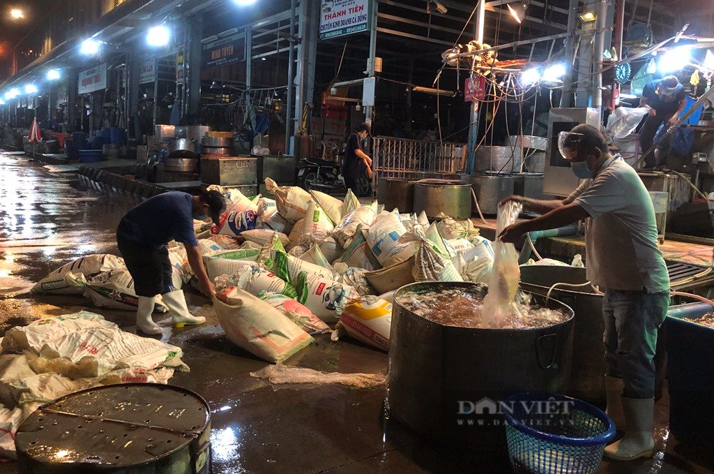 Cá mực, rau củ về chợ đầu mối Bình Điền, cung cấp 210 tấn mỗi đêm - Ảnh 1.