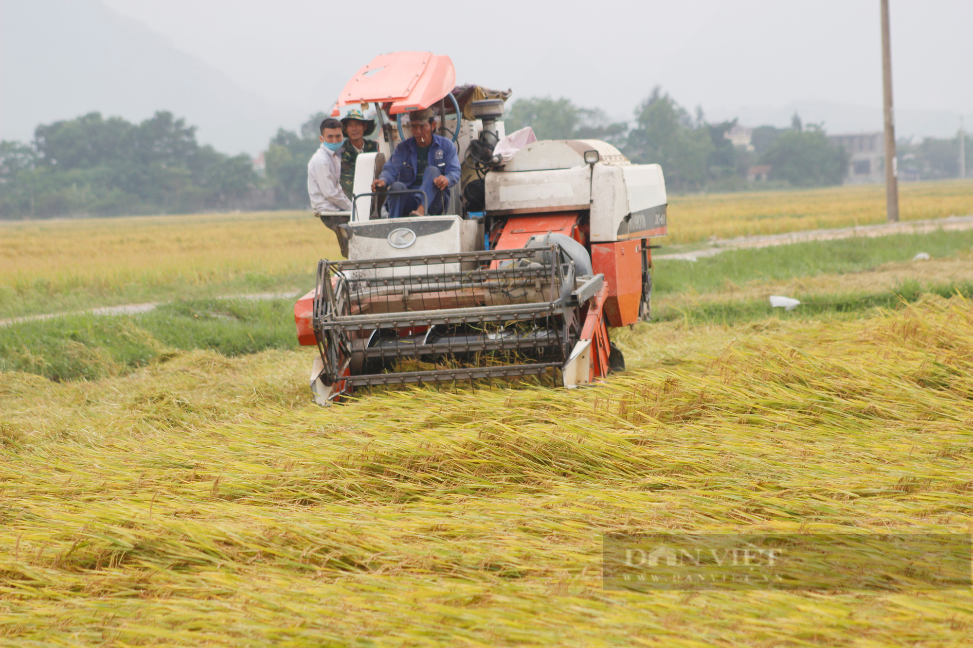 Ứng phó bão Conson: Quảng Bình không còn tàu thuyền nằm trong khu vực nguy hiểm - Ảnh 1.