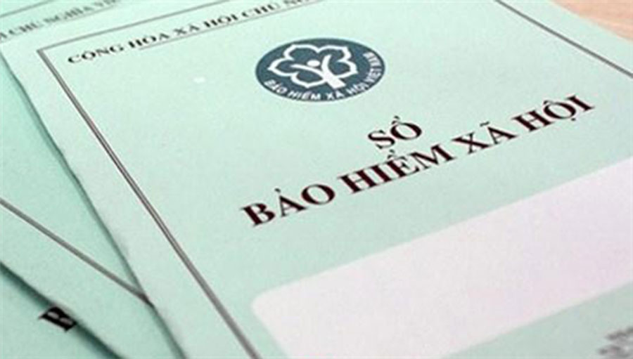Bảo hiểm xã hội TP.HCM đã gửi 72.684 thư nhắc nợ các đơn vị nợ bảo hiểm xã hội - Ảnh 3.