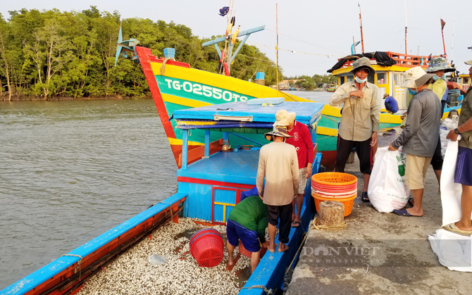Tàu thuyền đưa nghêu lên bờ. Ảnh: Trần Khánh