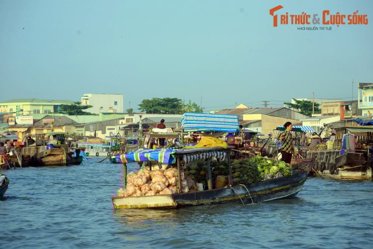 Khám phá dòng sông Hậu - Ảnh 7.