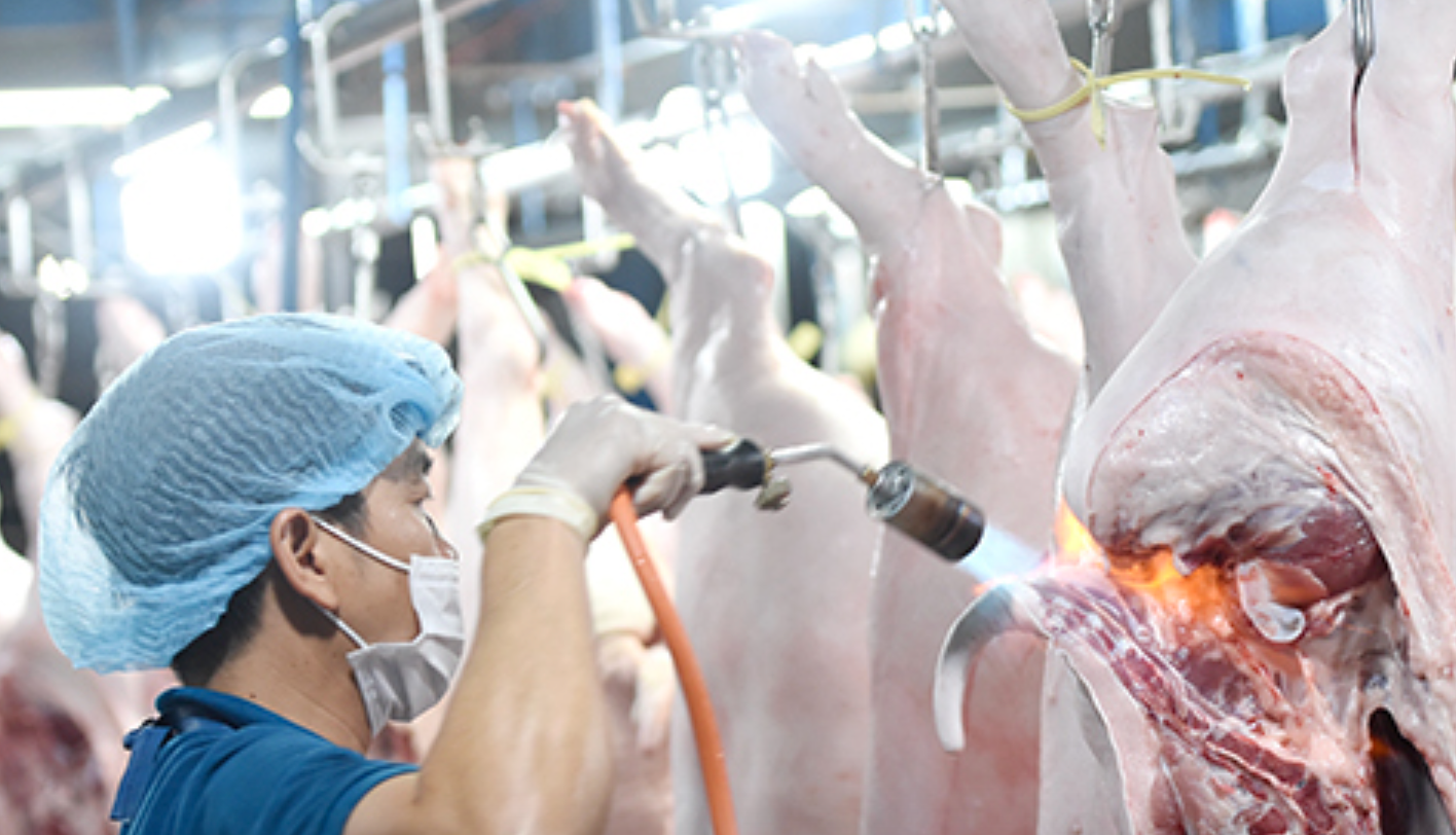 Giá heo hơi khoảng 54.000 đồng/kg, người nuôi vẫn lỗ 6.000 đồng/kg - Ảnh 2.