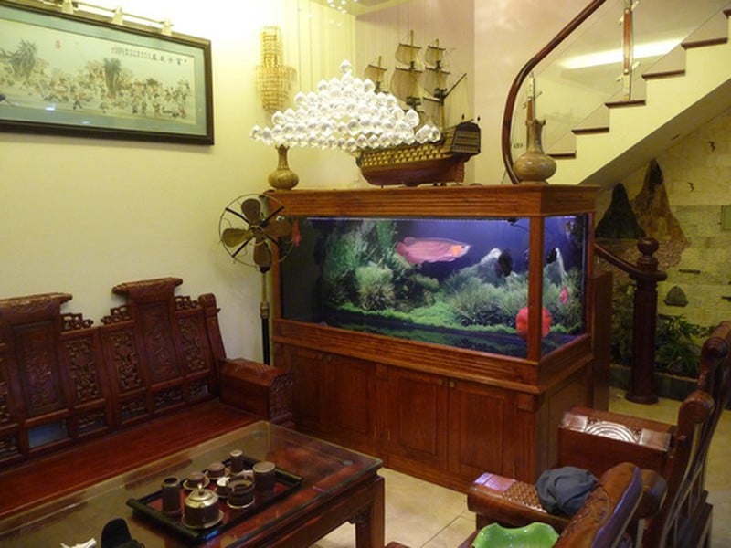 Bể cá đặt ở 5 vị trí này trách sao năm qua hao tài tán lộc