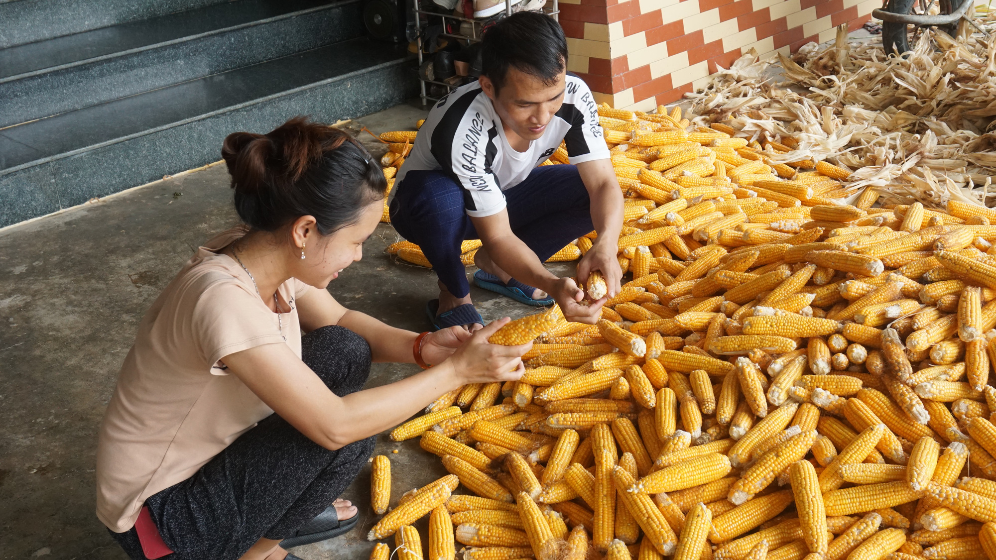 tat/ Xuân nghĩa tình trên đất xứ Nghệ - Ảnh 1.