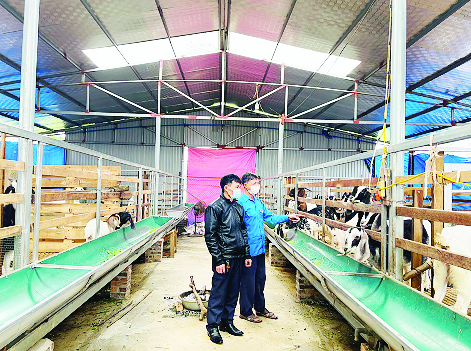 Bắt đất cằn sinh lời lớn - Ảnh 1.
