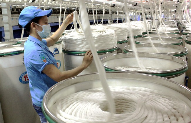 Sắp tổ chức Ngày hội Cotton Day Việt Nam 2022 tại TP.HCM - Ảnh 1.