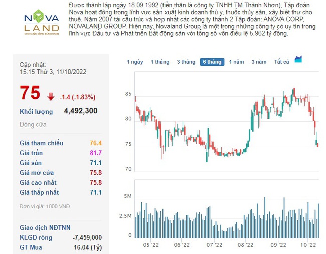 NovaGroup đăng ký mua thêm 8 triệu cổ phiếu Novaland - Ảnh 4.