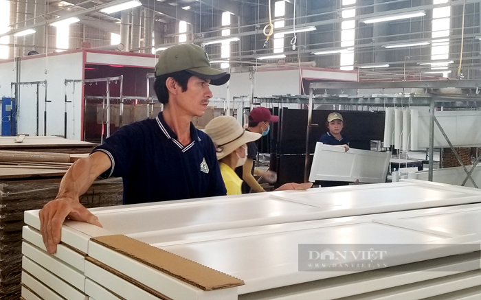 Chế biến ván gỗ MDF ở Công ty cao su Dầu Tiếng (Bình Dương). Ảnh: Trần Khánh