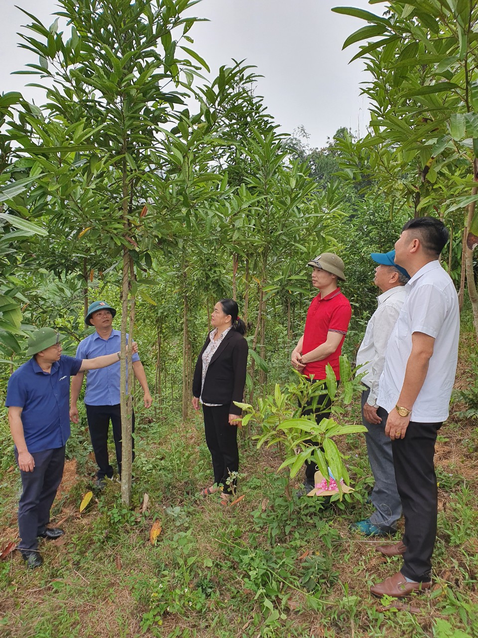 Xây dựng môi trường làm việc không thuốc lá - Ảnh 3. Xây dựng môi trường làm việc không thuốc lá - Ảnh 3.