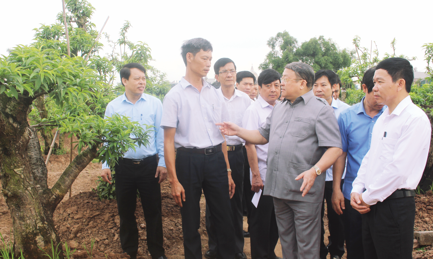 Hình thành thế hệ nông dân mới, giữ vững giá trị văn hóa tốt đẹp của dân tộc - Ảnh 3.