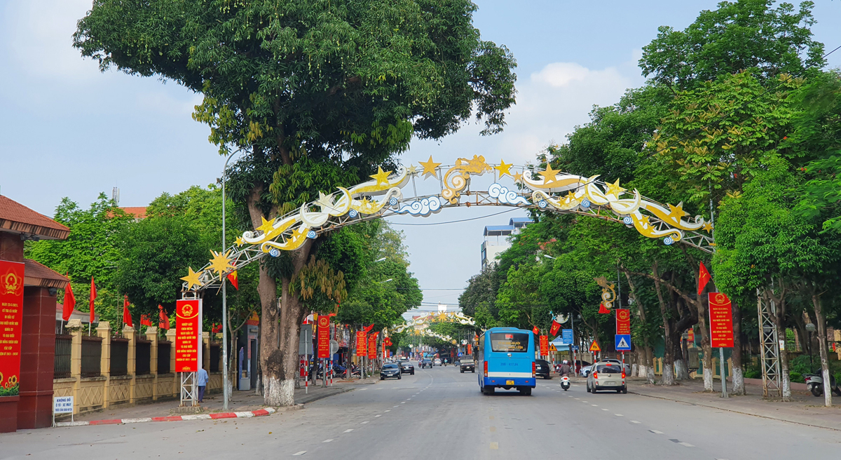 9 tháng đầu năm, Sóc Sơn xem xét, thi hành kỷ luật 96 đảng viên - Ảnh 1.