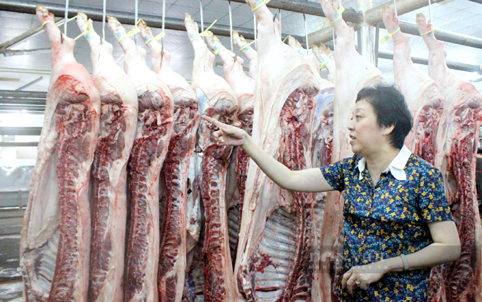 Bà Phạm Khánh Phong Lan – Trưởng Ban Quản lý An toàn thực phẩm TP.HCM kiểm tra sản phẩm tại chợ đầu mối Hóc Môn. Ảnh: Trần Khánh