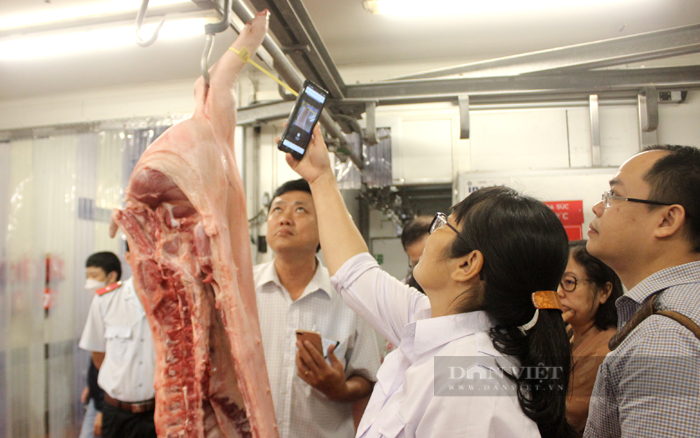 Cục Chăn nuôi và Thú y kiểm tra an toàn thực phẩm và nguồn gốc xuất xứ thịt heo tại một siêu thị ở TP.HCM. Ảnh: Nguyên Vỹ